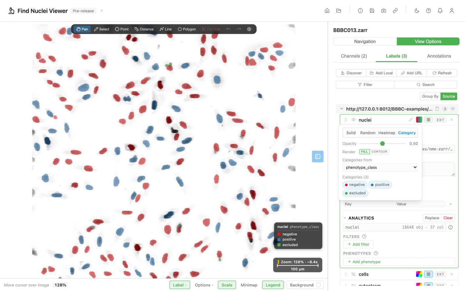 Nuclei colored categorically by phenotype class
