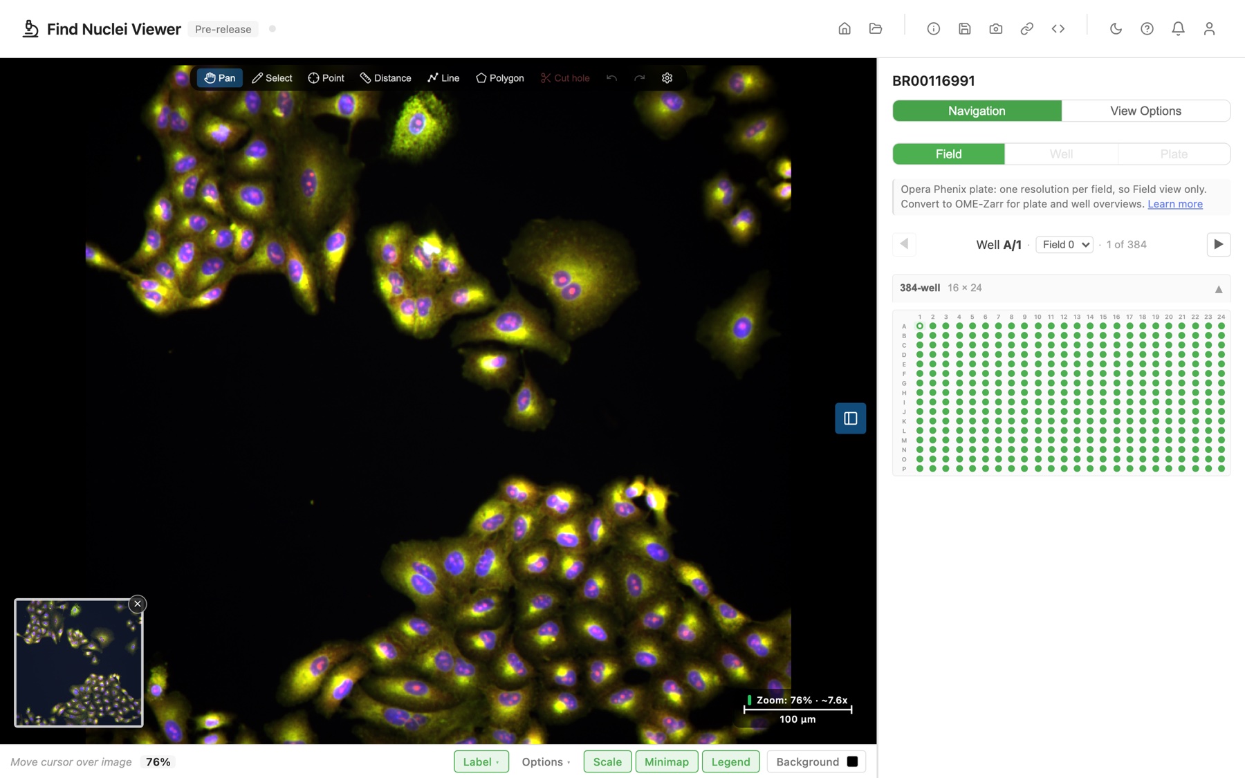 The Find Nuclei Viewer with Opera Phenix plate BR00116991 open: one field on the left, the well navigator and the 384-well picker on the right